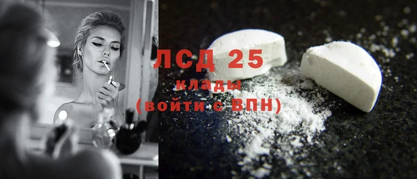 стафф Гусев