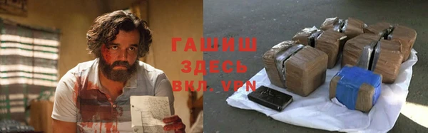стафф Гусев