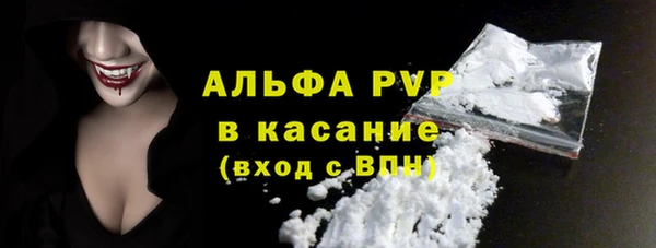 стафф Гусев