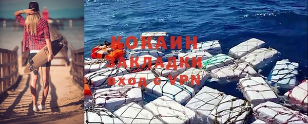 стафф Гусев