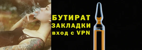 стафф Гусев