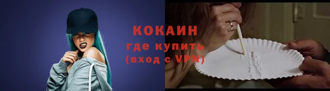 стафф Гусев