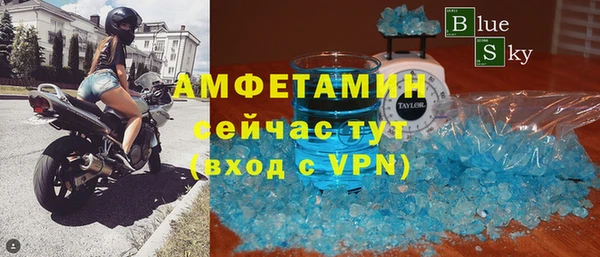 стафф Гусев