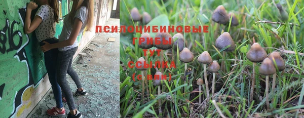 МДМА Гусиноозёрск