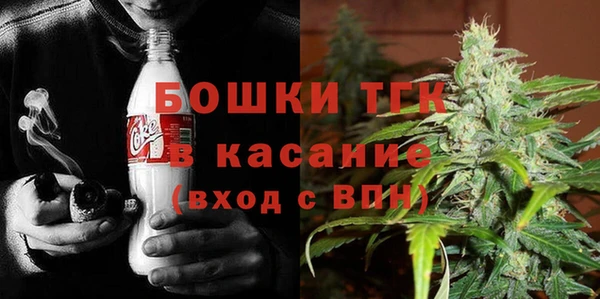 стафф Гусев