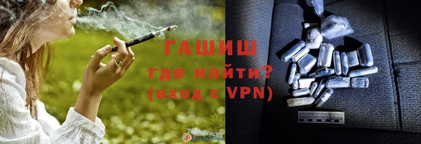 стафф Гусев