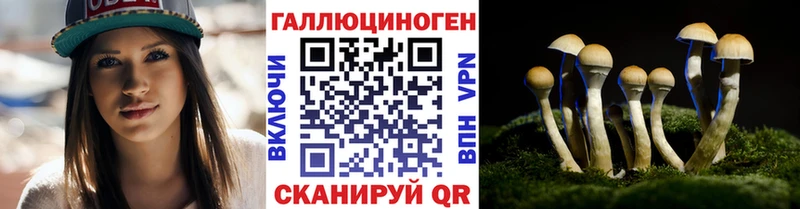 Псилоцибиновые грибы GOLDEN TEACHER  сколько стоит  Орехово-Зуево 